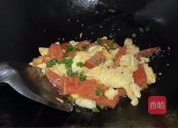 番茄炒蛋的做法图解11