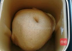 全麦豆沙包的做法图解4