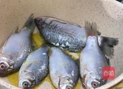 酸菜炖鲫鱼的做法图解4