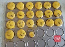 椰香提子酥的做法图解9