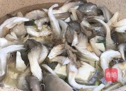 平菇豆腐清炖鱼汤的做法图解10