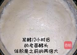 醪糟老面馒头的做法图解3