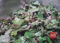 紫苏酱菜的做法图解1