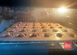 夏威夷果可可脆片的做法图解14