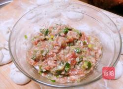 猪肉香葱馅的做法的做法图解8