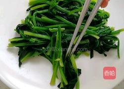 麻酱菠菜的做法图解2