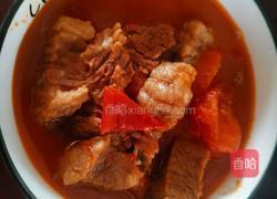 番茄炖牛腩的做法图解11