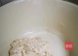 创意菜谱 胡萝卜香菇牛肉包的做法图解1