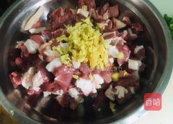 羊肉肠的做法图解4