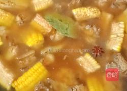 玉米烧鸡块的做法图解15