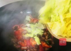 手撕包菜的做法图解5