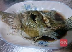 教你烹饪鳜鱼的做法图解10