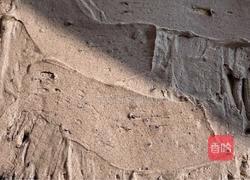 奥利奥蛋糕卷的做法图解9