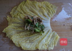 不用面粉的白菜饺子的做法图解16