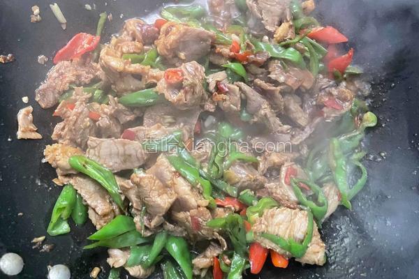 辣椒炒肉解馋下饭菜