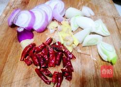 茄汁萝卜烧牛腩的做法图解3