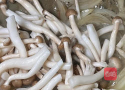 香香减脂泡菜鸡肉饼的做法图解3