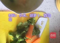 小米粥（6个月以上宝宝辅食）的做法图解1