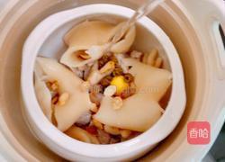花胶石斛双参汤的做法图解7