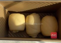 全麦吐司的做法图解8