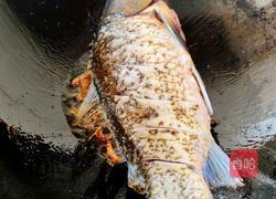 鲫鱼白玉汤的做法图解2