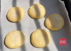 马苏里拉芝士包的做法图解10