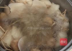 海底椰雪梨膏的做法图解1