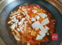 番茄菌菇豆腐汤的做法图解7