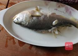 红烧大黄鱼的做法图解2