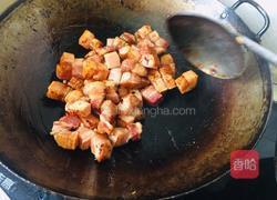红烧肉烩菜的做法图解5