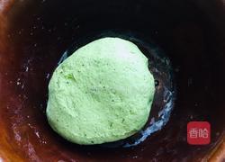 蒜汁菠菜面片的做法图解4