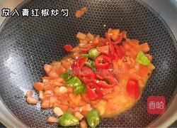 番茄鸡胸肉的做法图解4