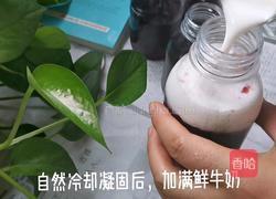 蓝莓冻撞奶的做法图解10