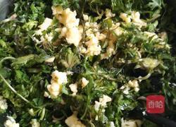 荠菜鸡蛋水饺的做法图解10