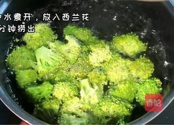 西蓝花炒虾仁的做法图解2