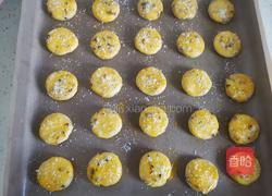 蔓越莓椰蓉酥的做法图解13