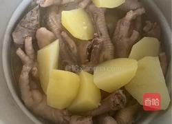 明虾鸡爪煲的做法图解5