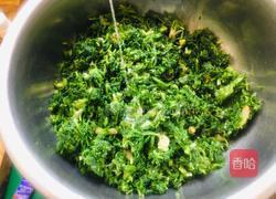 荠菜大肉水饺的做法图解6