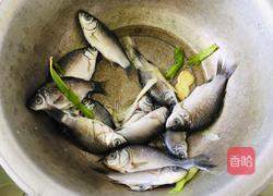 豆瓣酱烧小鲫鱼的做法图解1