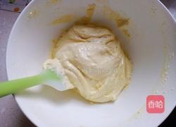 蛋黄小圆饼干的做法图解8