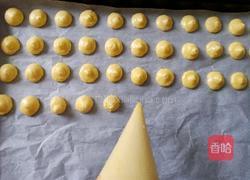 蛋黄小圆饼干的做法图解10