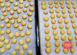 蛋黄小圆饼干的做法图解16