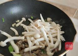 菌菇炒牛肉的做法图解5
