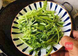 清炒茼蒿的做法图解1