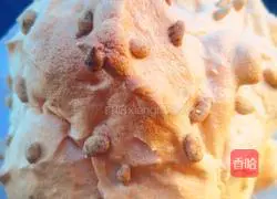 Snow Mountain Cake Recipe Illustration 9