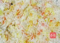 娃娃菜火腿蛋炒饭的做法图解12