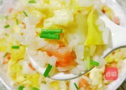 娃娃菜火腿蛋炒饭的做法图解16