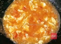 番茄鸡蛋拌面的做法图解10