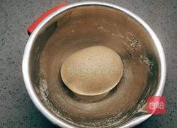 全麦薄饼的做法图解6