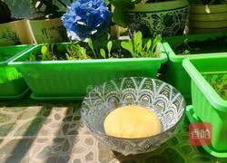 星形玉米饼的做法图解7